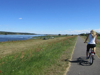 Angeln und Radfahren an der Oder