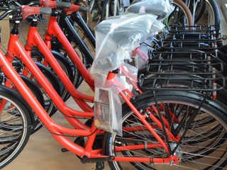Frech Styler Fahrradhandel Mölln E-Bikes