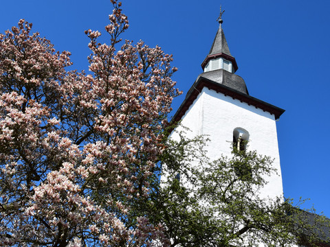 1000 jährige Kirche Nümbrecht im Frühling