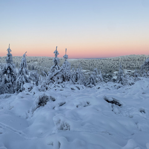 Winterlandschaft auf dem Ettelsberg bei Sonnenaufgang 