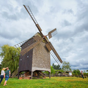 Bockwindmühle in Wilhelmsaue