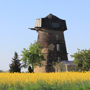 Großkopfs Turmwindmühle bei Niemegk