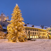 Martin Maegli 2024 Naturbild