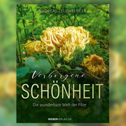 Pilze eine faszinierende Welt!