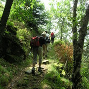 Wanderer Trail OLYMPUS DIGITAL CAMERA