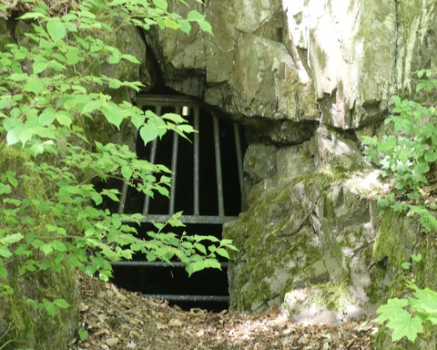 Alter Bergbauschacht Bergfreiheit, heute Fledermausstollen