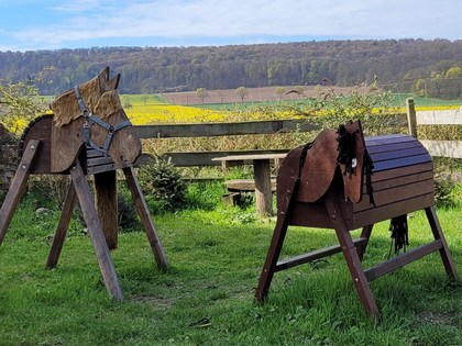 Reitstall Dettum 6.jpg