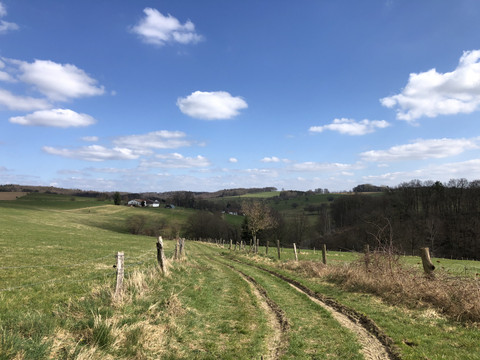 Wanderweg Weite, grüne Wiesen in sanfter Hügellandschaft unter blauem Himmel mit weißen Wolken und Feldweg.