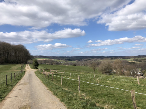 Wanderweg mit Aussicht Landstraße mit Weiden und Wald im Hintergrund, unter blauem Himmel mit weißen Wolken in einer ländlichen Landschaft.