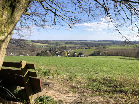 Pause mit Aussicht  Landschaftspanorama mit Bank unter Baum, Blick auf grüne Wiesen und Hügel, blauer Himmel im Hintergrund.