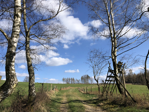 Hochsitz am Wanderweg  <p>Blick auf einen Feldweg in einer ländlichen Landschaft mit Bäumen unter blauem Himmel mit Wolken.</p>