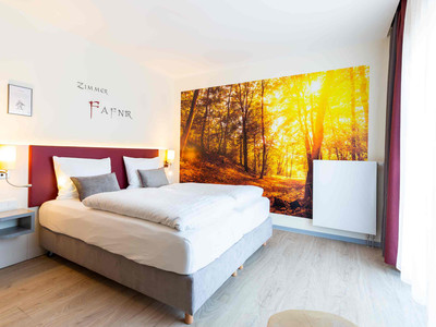MythenResort Heimdall in Thale - Doppelzimmer Fafnir