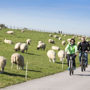Radwanderung-Wangerland