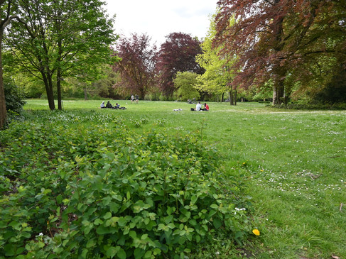 Bürgerpark Bürgerpark im FrühlingBürgerpark in springBürgerpark