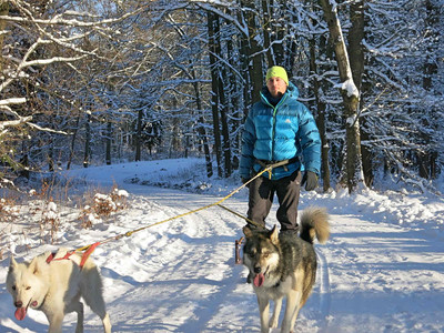Husky-Trekking im Huy