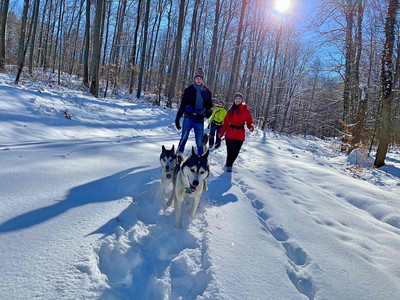 Husky-Trekking im Huy
