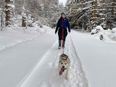 Husky-Trekking im Huy