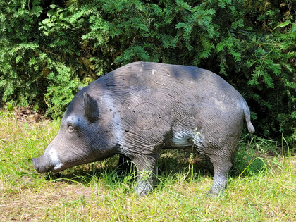 Bogenschießen 4.jpg