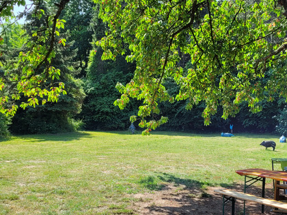 Bogenschießen 6.jpg