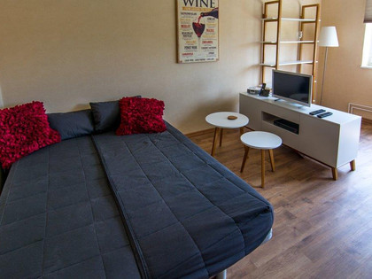 Schlafcouch im Gästeappartement Hoppe in Salzgitter-Bad