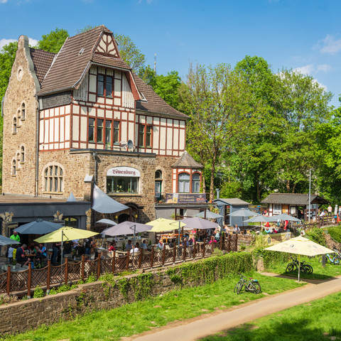 Löwenburg_01.jpg
