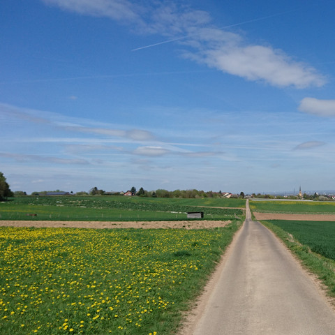 Blick auf Bornheim-Brenig