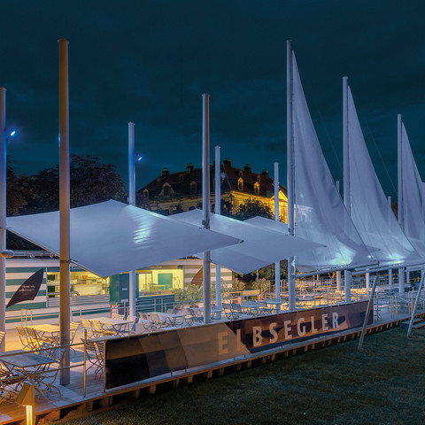 Elbsegler night shot Elbsegler NachtaufnahmeElbsegler night shotRychlý noční záběr LabeElbe swift nocne ujęcieElbe gierzwaluw nachtopnameScatto notturno del fiume Elba