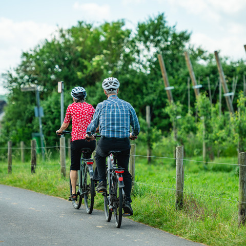 Radfahrer auf der Apfelroute