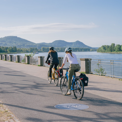 Radfahrer am Bonner Bogen