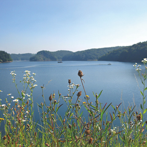 Blick auf die Wahnbachtalsperre