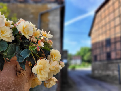 Rittergut Vahlberg 2.jpg