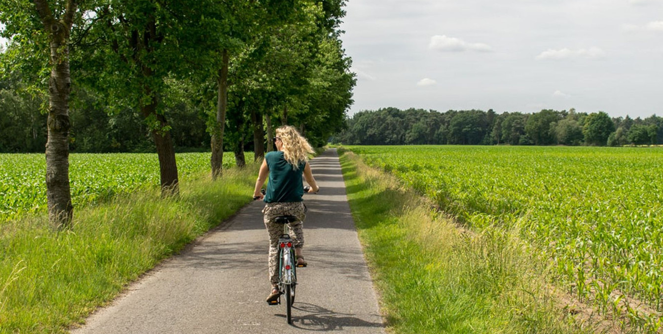 Kreis-warendorf-fietsen-dame-weg-maisveld-bomen-zonnig-©Kimber.jpgKreis-warendorf-fietsen-dame-weg-maisveld-bomen-zonnig-©Kimber.jpg