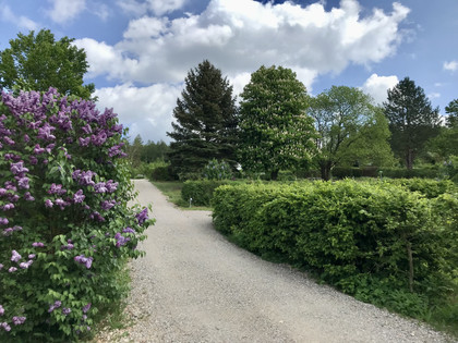 Wohnmobilplatz Ambergau 1