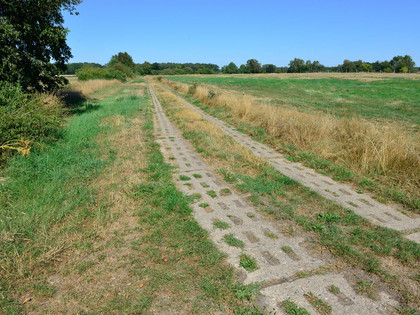 Plattenweg nahe der ehemaligen Grenze bei Rade Plattenweg nahe der ehemaligen Grenze bei Rade