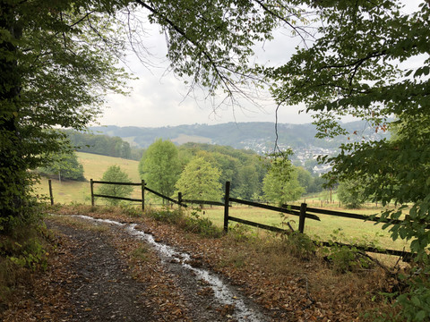 Blick auf Overath Ein idyllischer Waldweg öffnet sich zur malerischen Landschaft mit sanften Hügeln und grünen Wiesen.