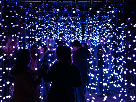 Re_unten_Christmas Garden_Clemens ©Christmas Garden-Michael Clemens (7).jpg Menschen bewegen sich durch ein beeindruckendes Lichtkunst-Display mit zahlreichen leuchtenden Kugeln.People move through an impressive light art display with numerous glowing spheres.Lidé procházejí působivou světelnou uměleckou expozicí s mnoha svítícími koulemi.Ludzie przechodzą przez imponujący pokaz sztuki świetlnej z licznymi świecącymi kulami.Mensen lopen door een indrukwekkend lichtkunstwerk met talloze gloeiende bollen.Le persone si muovono attraverso un impressionante spettacolo di light art con numerose sfere luminose.