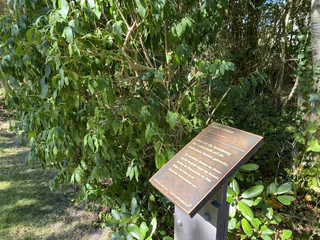 Albert Aereboe (2).jpg