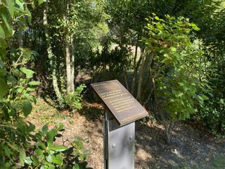 Albert Aereboe (1).jpg