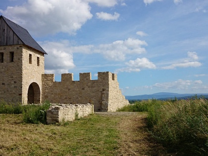 Kaiserpfalz_Werla_c_Geopark_HBLO.jpg
