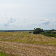 Landschaft nahe Ratingen-Homberg