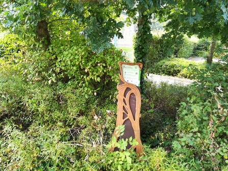 Hörstation "Der Steinauer Kirchenbau"