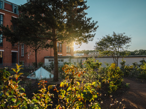 Wirkbau Chemnitz Dachgarten
