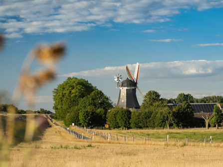 Windmühle am Weserdeich Fernblick auf die Mühle Aschwarden am WeserdeichDistant view of the Aschwarden mill on the Weser dikeFjernt syn af Aschwarden-møllen på Weser-digetVer uitzicht op de molen van Aschwarden op de Weserdijk