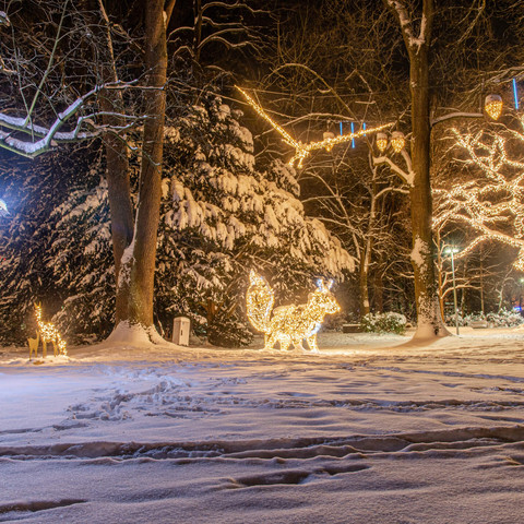 Lichterzauber im Schnee Wallanlage (c) Hann. Münden Marketing GmbH, Eson Krusha.jpg Lichterzauber im Schnee