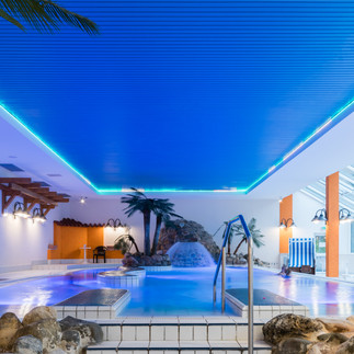 Panoramic_Hotel_Harz_Schwimmbad_077.jpg
