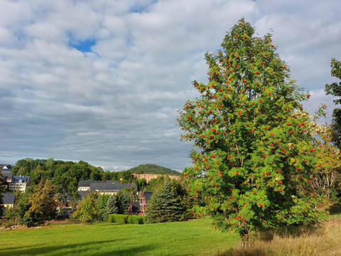 Blick zum Geisingberg