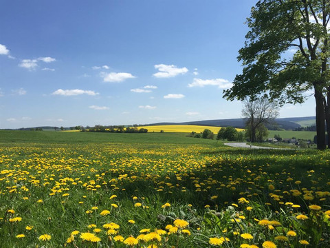 Phantastische Landschaft im Erzgebirge-zwischen Fr