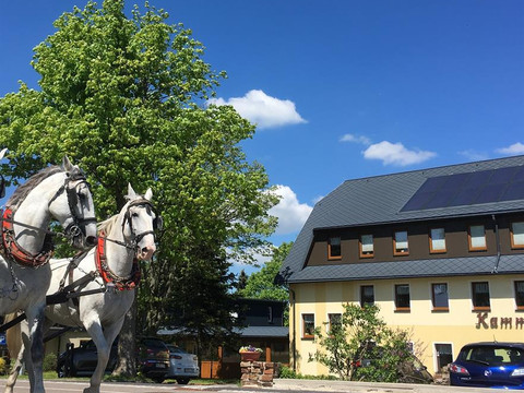 Pferde Kammbaude quad