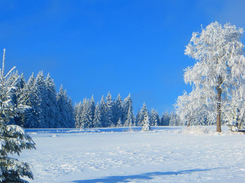 Winter in Weitersglashütte