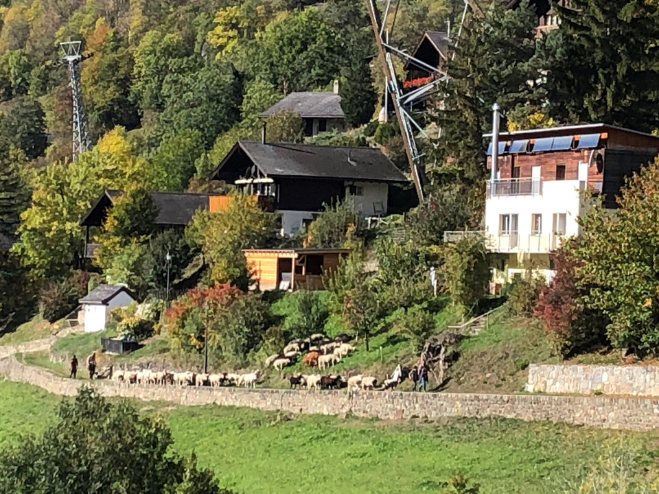 Aussicht Mörel Breiten